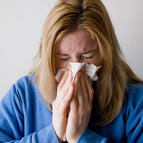 Vue interieure de la Pharmacie des Tilleuls